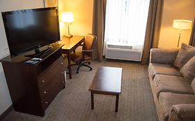 Holiday Inn Express Hotel & Suites Clearwater Us 19 North By Ihg